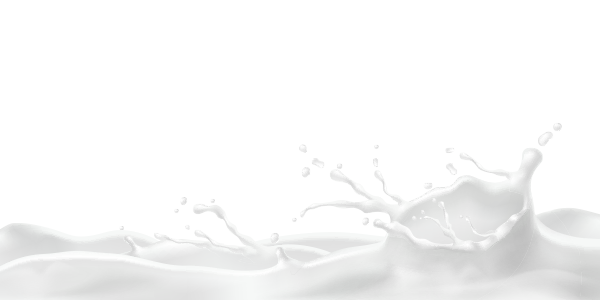 milk abstract