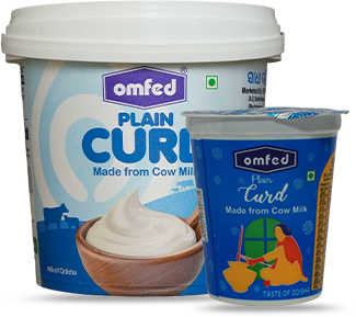 Plain Curd