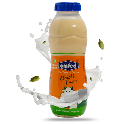 Flavo Elaichi